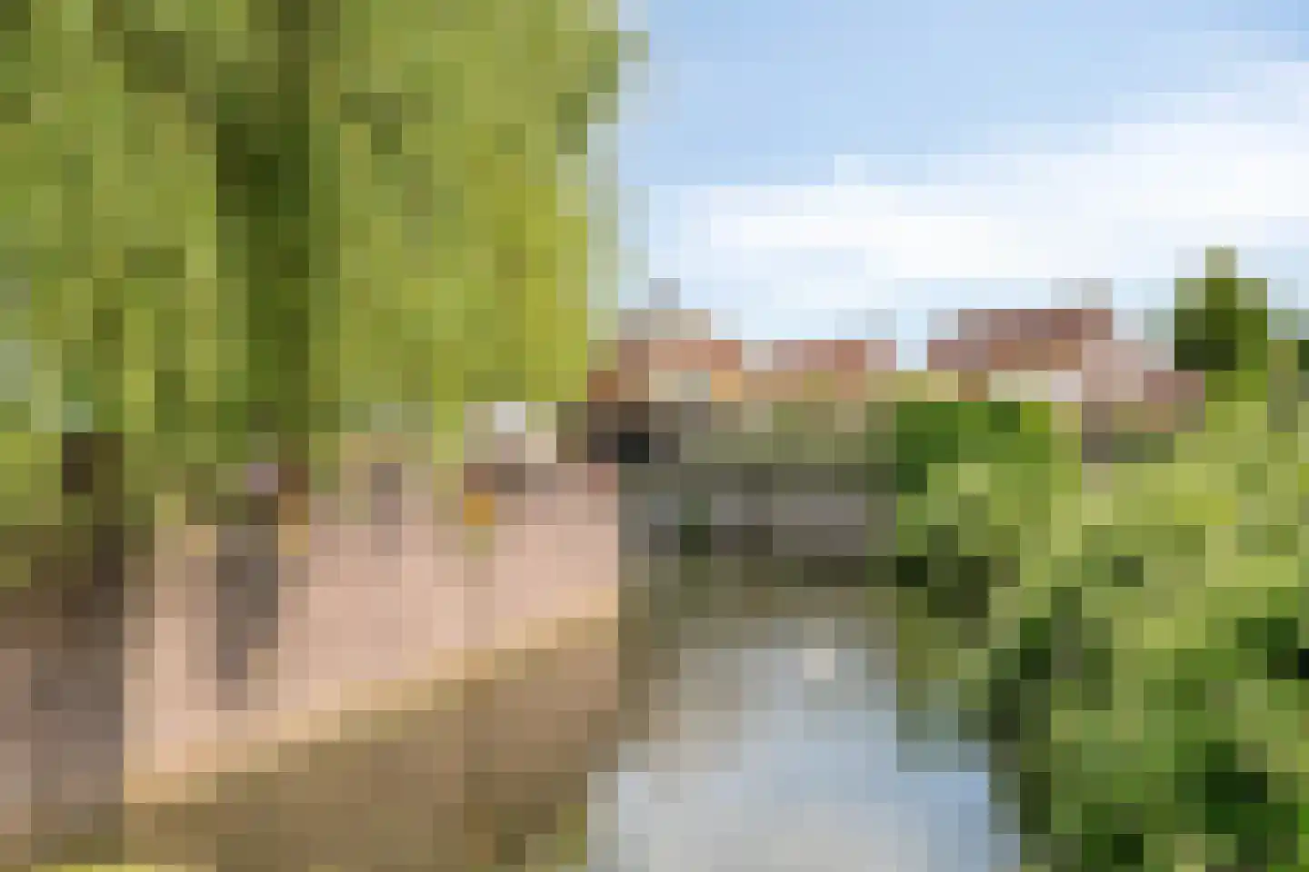 Potmeer 6 Steenbergen thumbnail 38