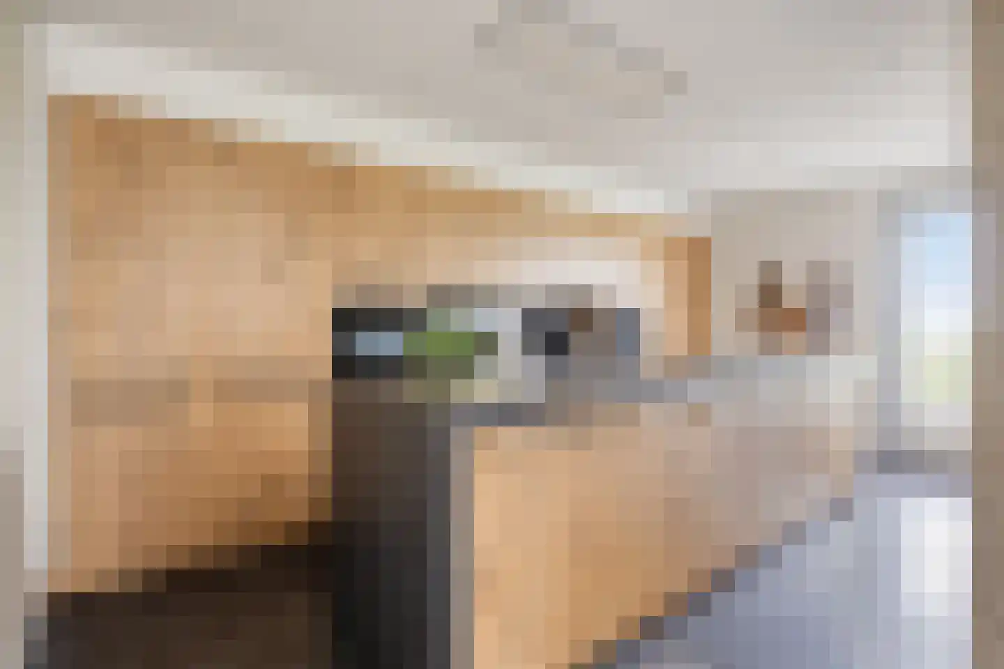 Potroede 11 Moerkapelle thumbnail 5