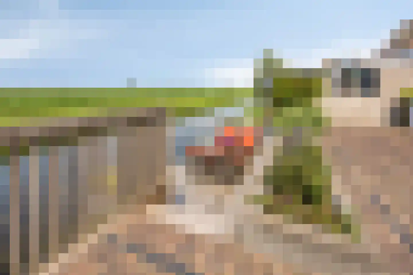 Potroede 11 Moerkapelle thumbnail 71