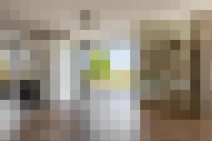 Potroede 15 Moerkapelle thumbnail 16