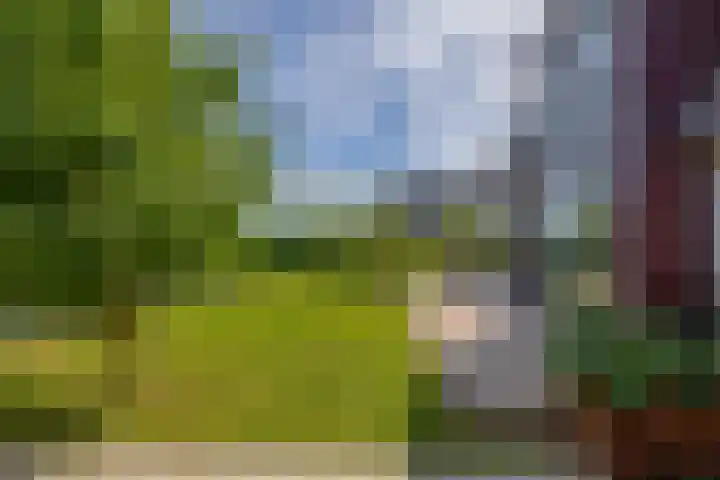 Potroede 15 Moerkapelle thumbnail 22