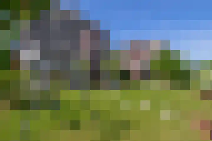Potroede 15 Moerkapelle thumbnail 23