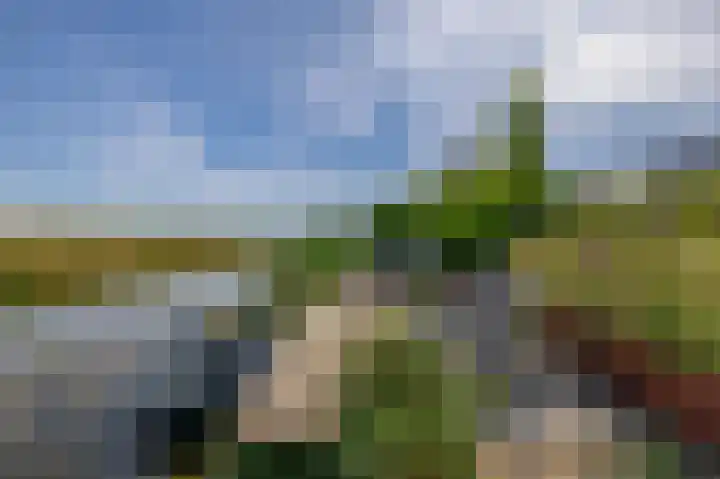 Potroede 15 Moerkapelle thumbnail 24