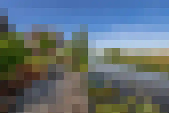 Potroede 15 Moerkapelle thumbnail 25