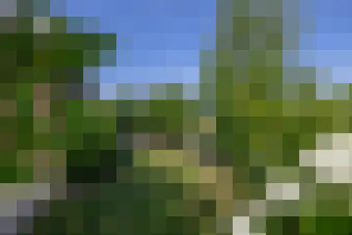 Potroede 15 Moerkapelle thumbnail 26