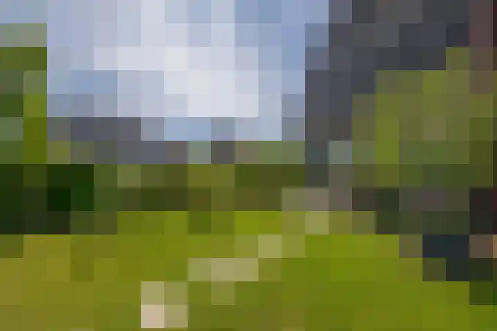 Potroede 15 Moerkapelle thumbnail 27