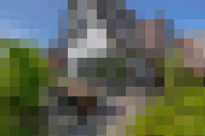 Potroede 15 Moerkapelle thumbnail 28