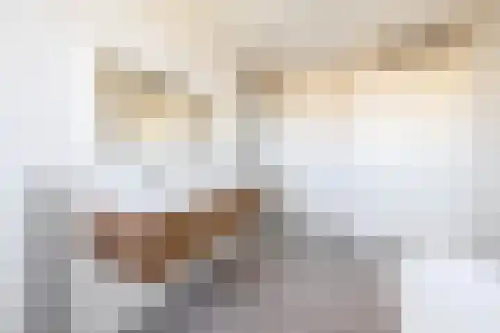 Potroede 15 Moerkapelle thumbnail 38