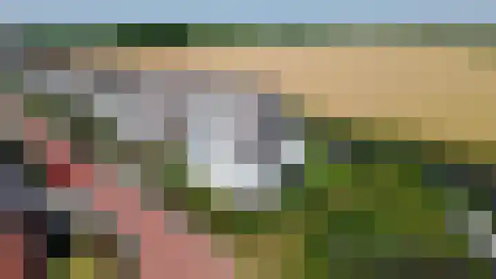 Potroede 15 Moerkapelle thumbnail 4