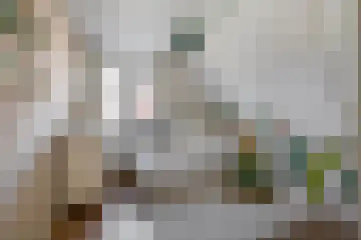 Potroede 15 Moerkapelle thumbnail 40