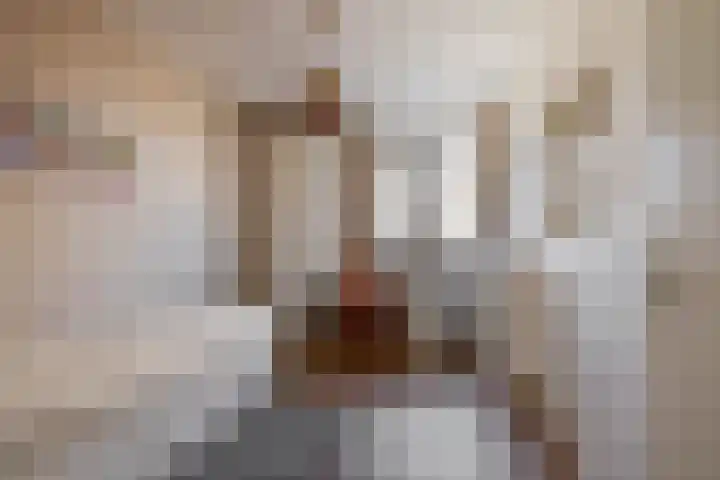 Potroede 15 Moerkapelle thumbnail 41