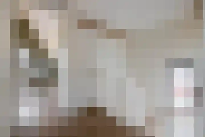 Potroede 15 Moerkapelle thumbnail 42