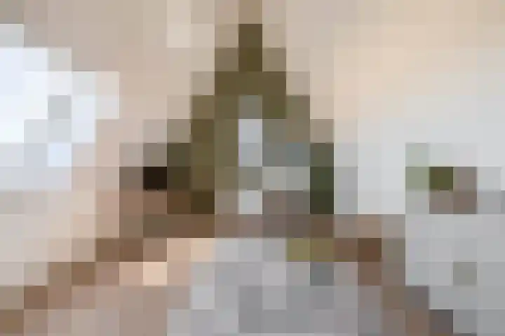 Potroede 15 Moerkapelle thumbnail 43