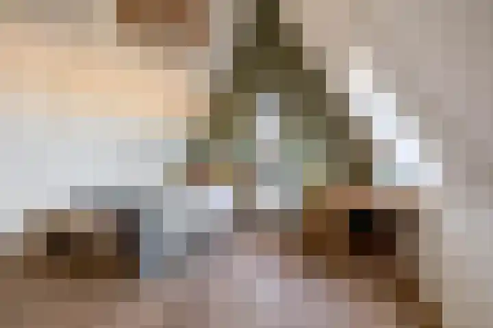 Potroede 15 Moerkapelle thumbnail 45