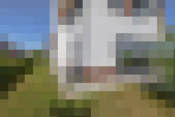 Potroede 15 Moerkapelle thumbnail 47