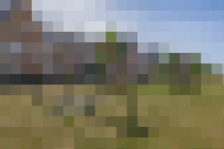 Potroede 15 Moerkapelle thumbnail 54