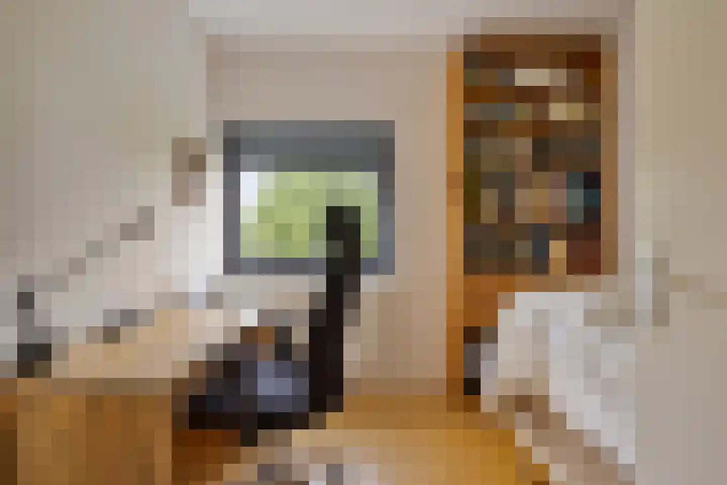 Potskampstraat 1 AP20 Oldenzaal thumbnail 22