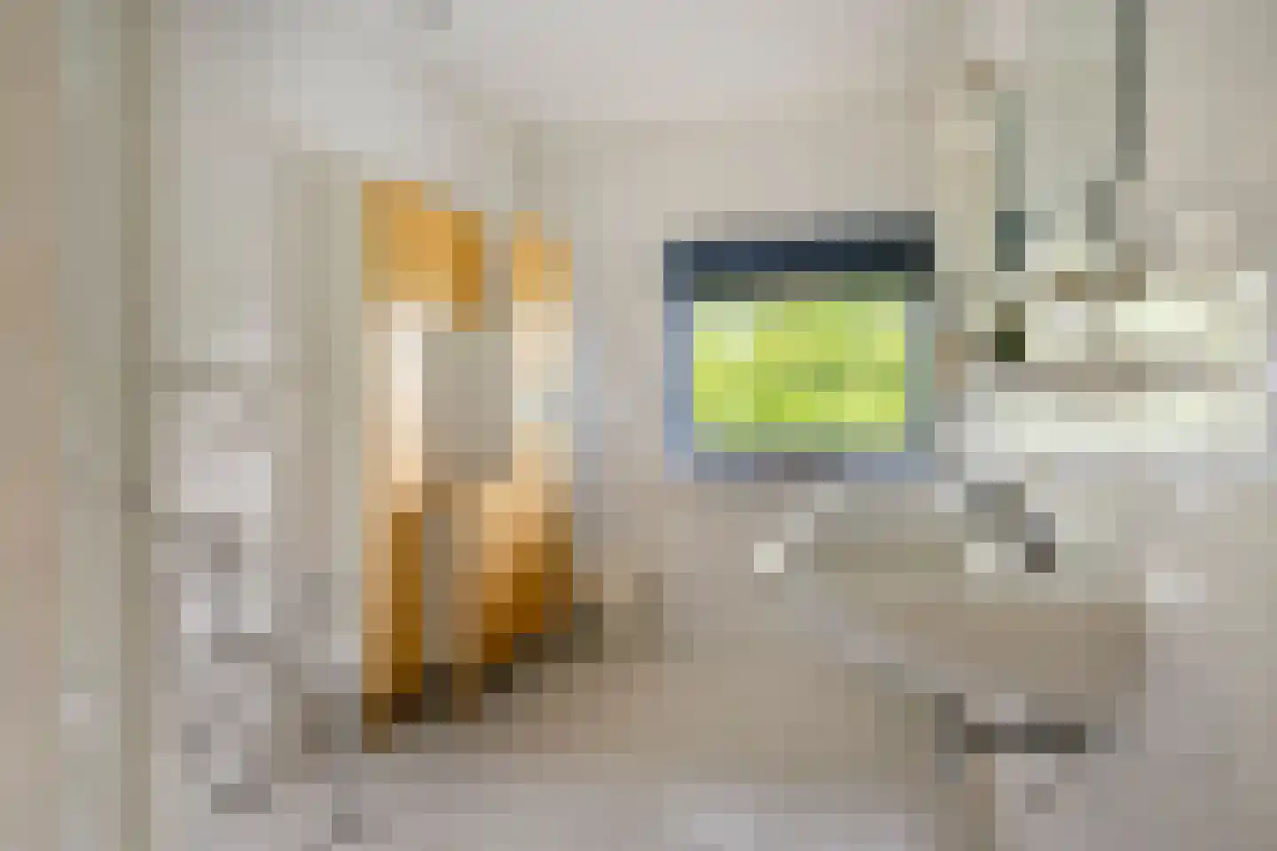 Potskampstraat 1 AP20 Oldenzaal thumbnail 23