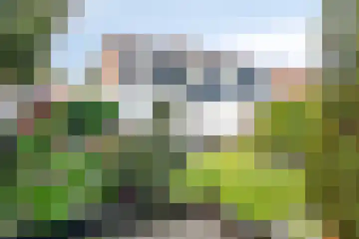 Potskampstraat 17 Oldenzaal thumbnail 21