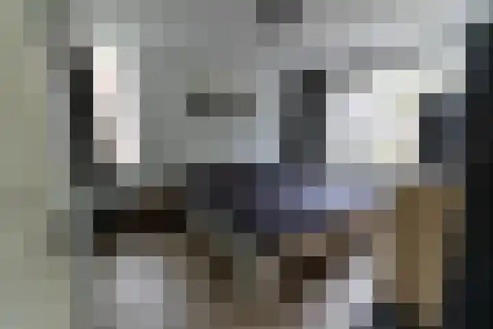 Potsmaat 149 Doesburg thumbnail 10