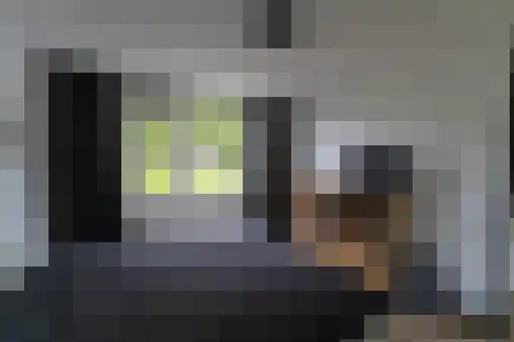 Potsmaat 149 Doesburg thumbnail 11