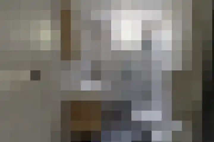 Potsmaat 149 Doesburg thumbnail 12