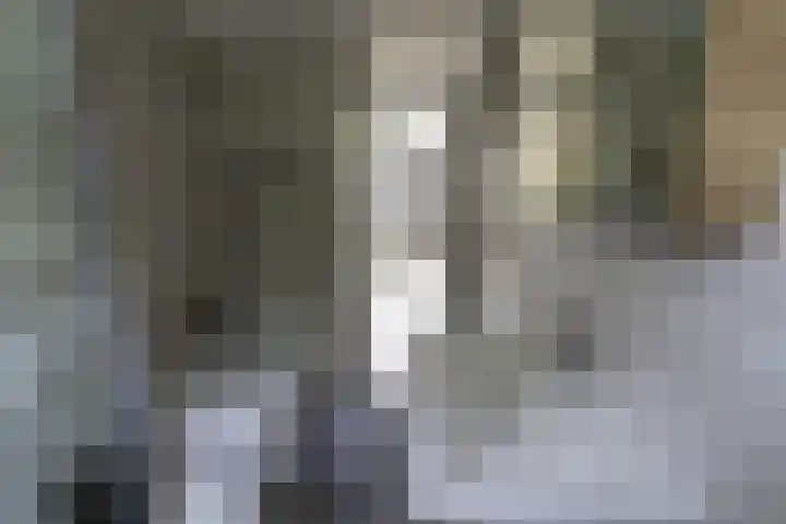 Potsmaat 149 Doesburg thumbnail 13