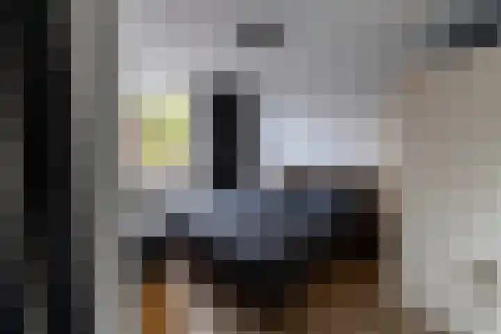 Potsmaat 149 Doesburg thumbnail 14