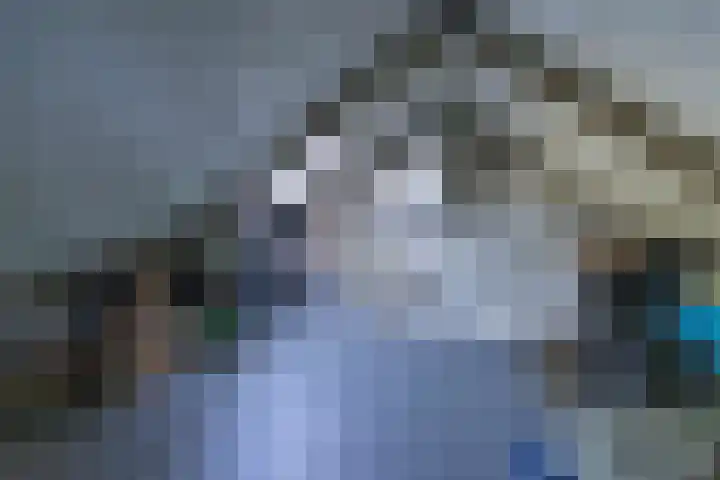 Potsmaat 149 Doesburg thumbnail 16