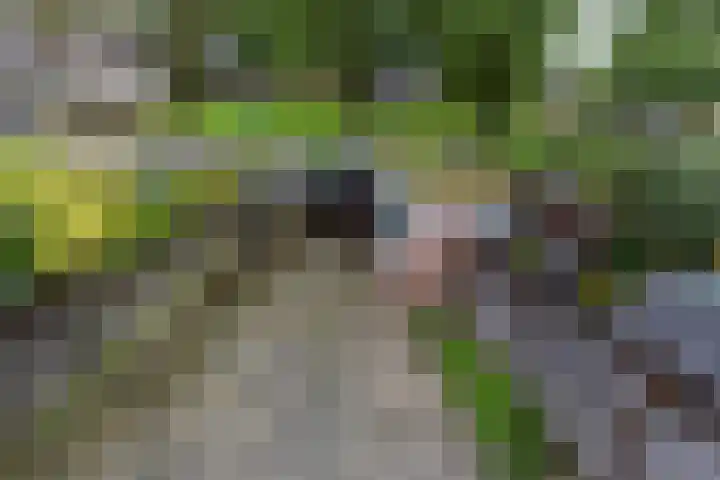 Potsmaat 149 Doesburg thumbnail 18
