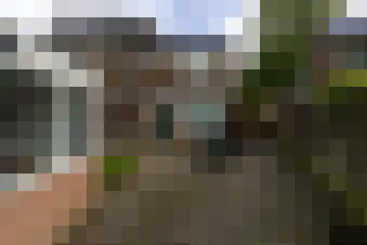 Potsmaat 149 Doesburg thumbnail 19
