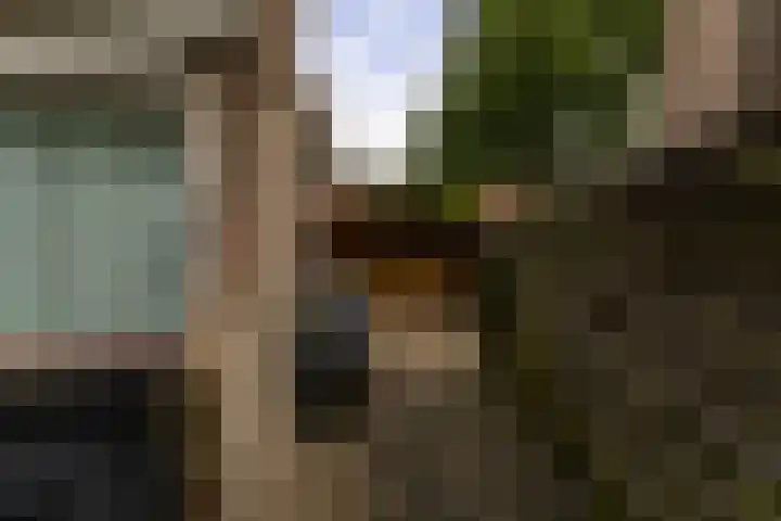 Potsmaat 149 Doesburg thumbnail 20