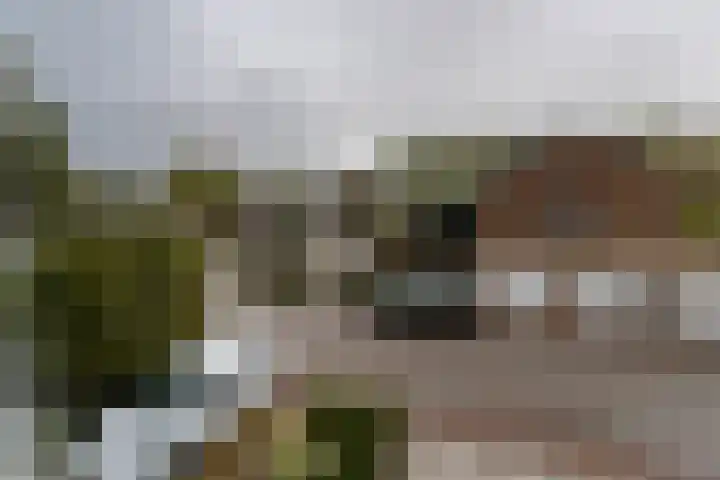 Potsmaat 149 Doesburg thumbnail 22