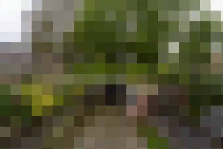 Potsmaat 149 Doesburg thumbnail 23