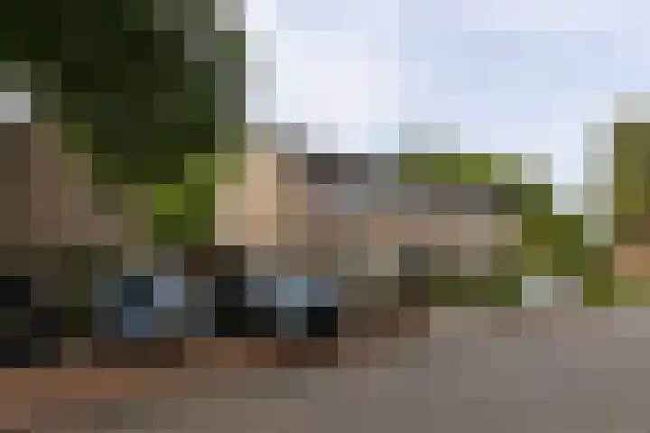 Potsmaat 149 Doesburg thumbnail 24