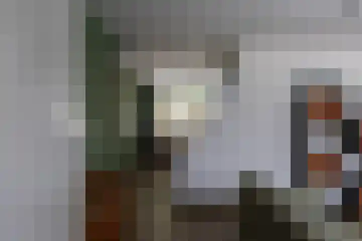 Potsmaat 149 Doesburg thumbnail 4
