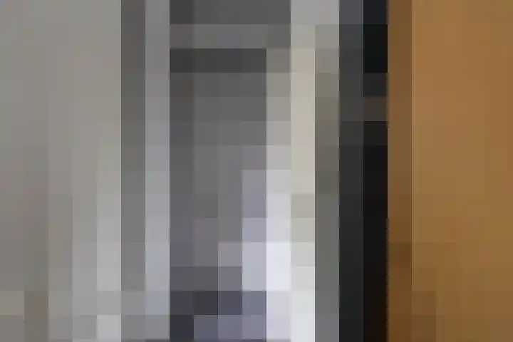 Potsmaat 149 Doesburg thumbnail 8