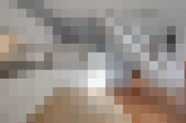 Potsmaat 153 Doesburg thumbnail 16