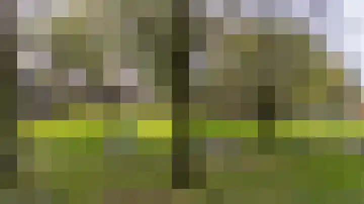 Potsmaat 153 Doesburg thumbnail 23