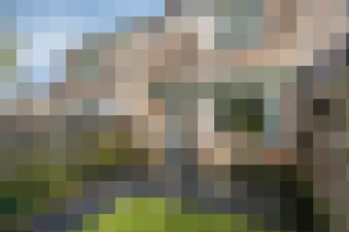 Potsmaat 153 Doesburg thumbnail 27