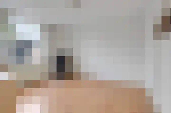 Potsmaat 153 Doesburg thumbnail 36