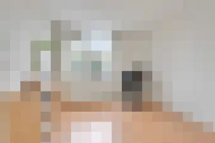 Potsmaat 153 Doesburg thumbnail 37