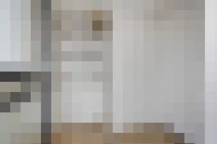 Potsmaat 153 Doesburg thumbnail 7