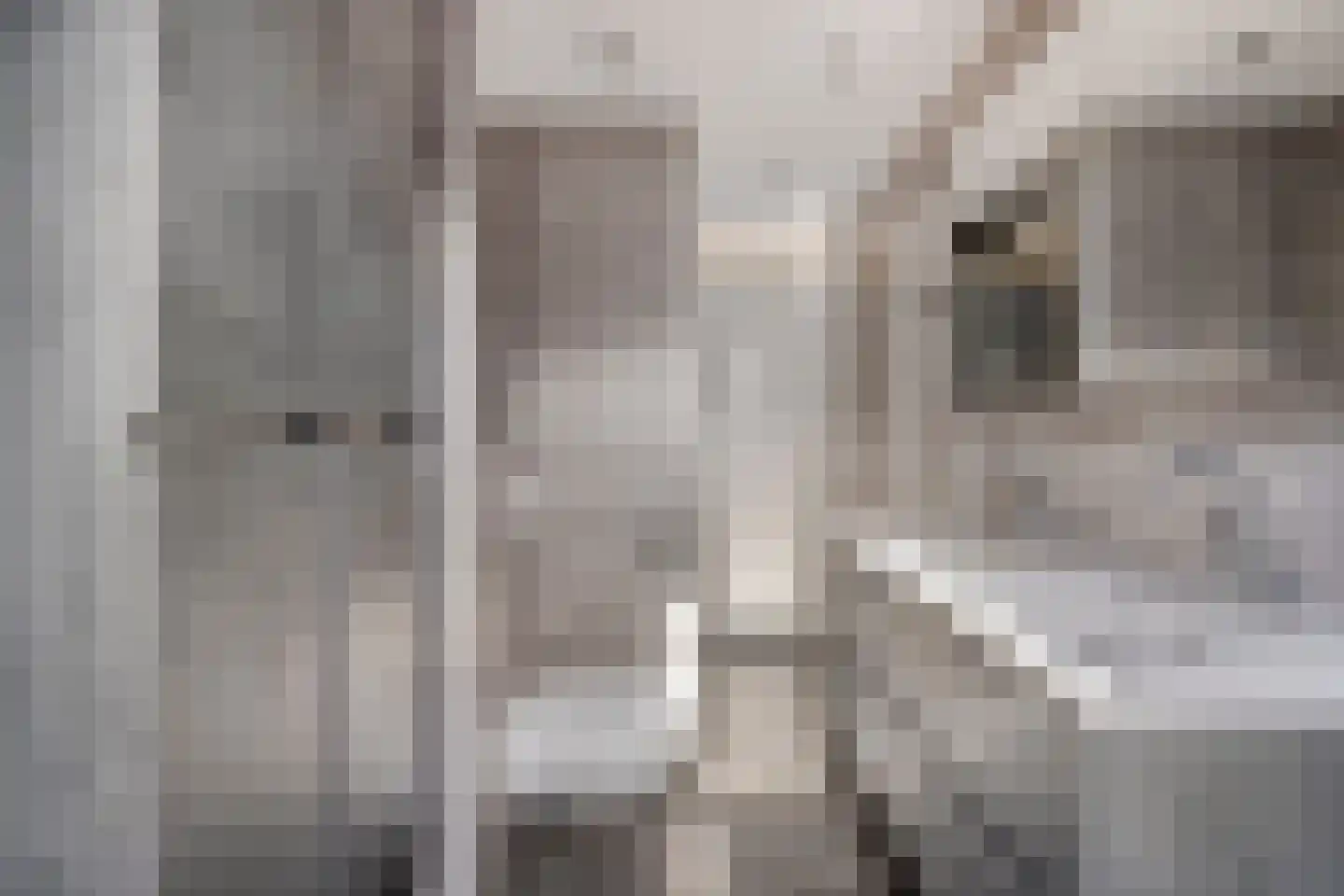 Potsmaat 164 Doesburg thumbnail 19