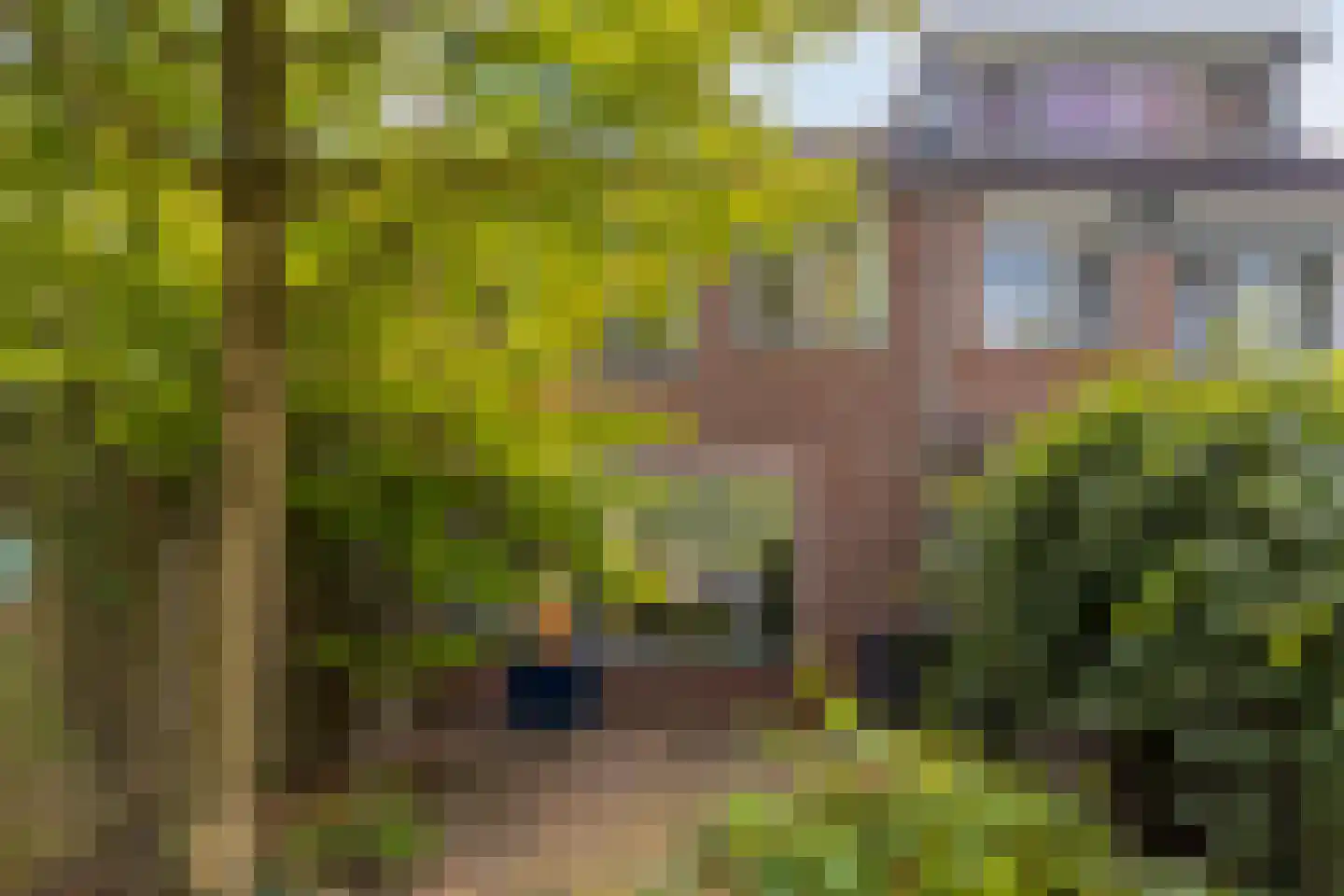 Potsmaat 164 Doesburg thumbnail 27