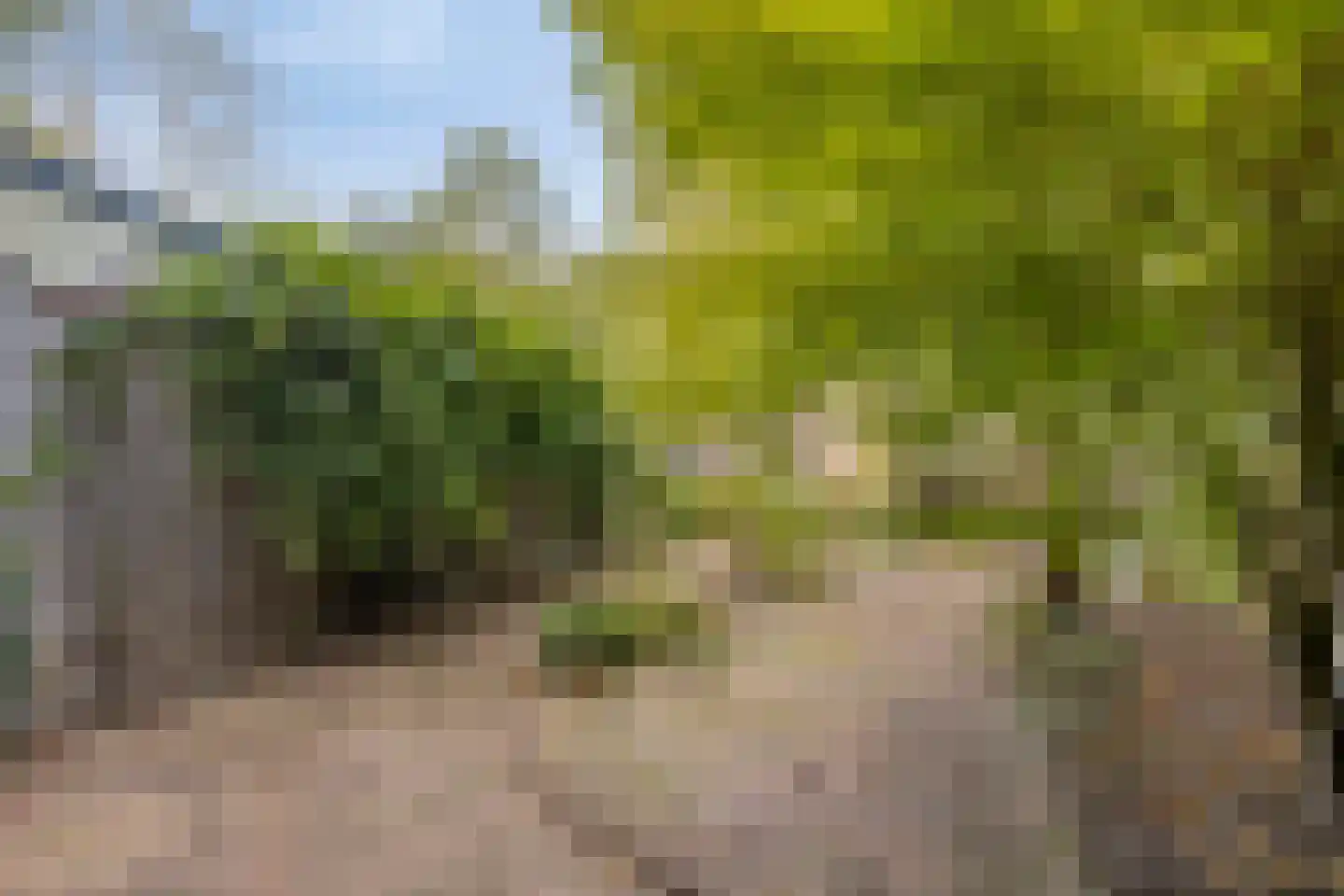 Potsmaat 164 Doesburg thumbnail 28