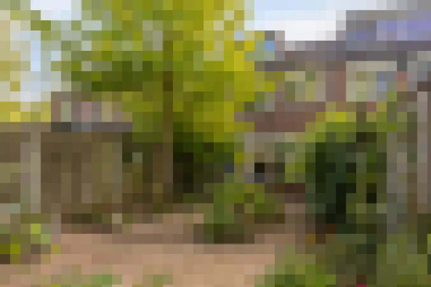 Potsmaat 164 Doesburg thumbnail 29