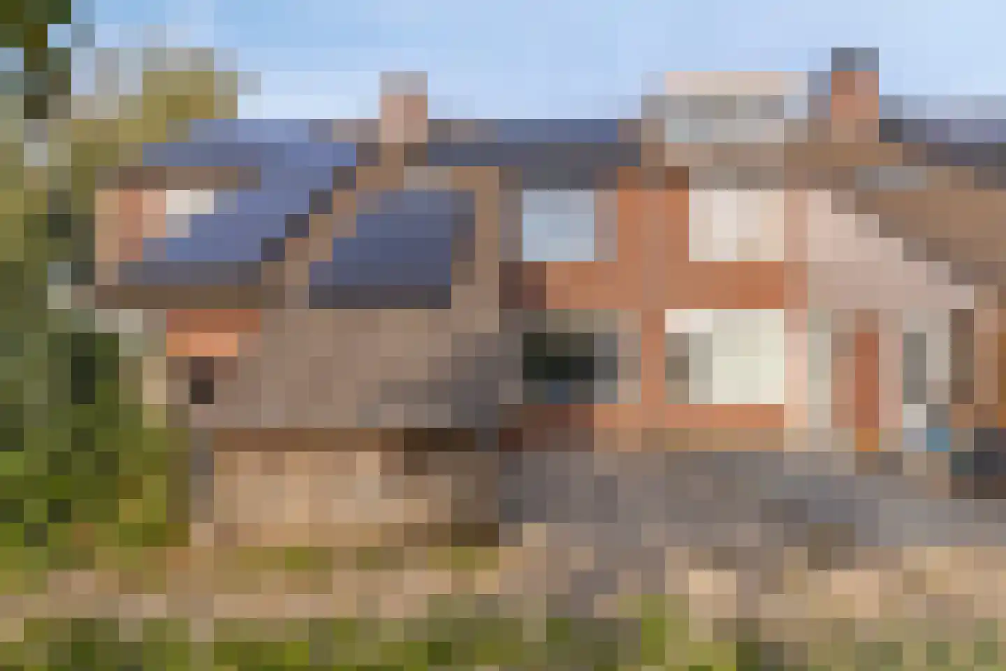 Potsmaat 164 Doesburg thumbnail 30
