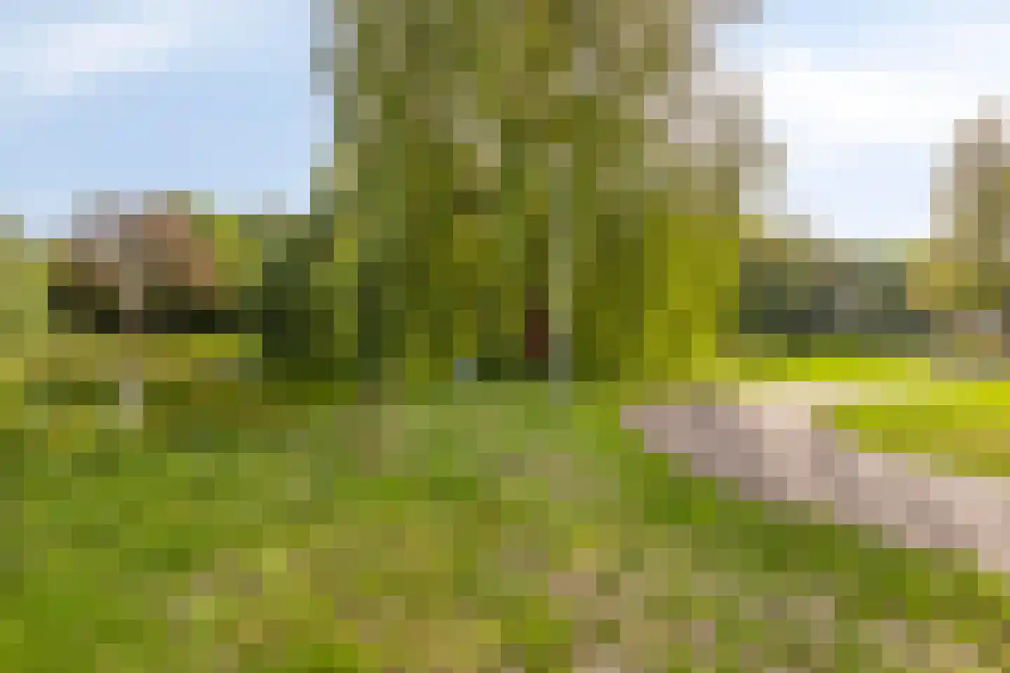 Potsmaat 164 Doesburg thumbnail 31