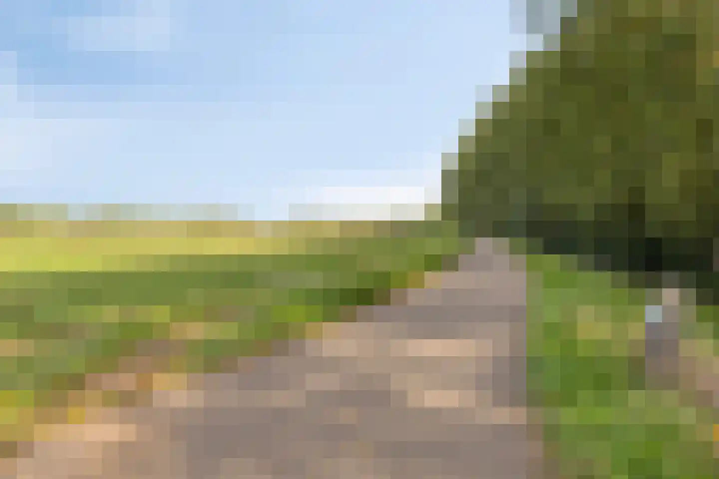 Potsmaat 164 Doesburg thumbnail 32
